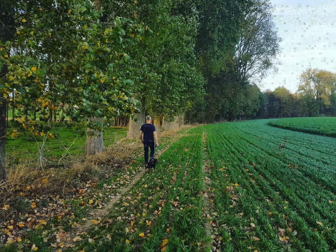 De Goeferdij Vakantiewoning Geraardsbergen Zewnętrze zdjęcie