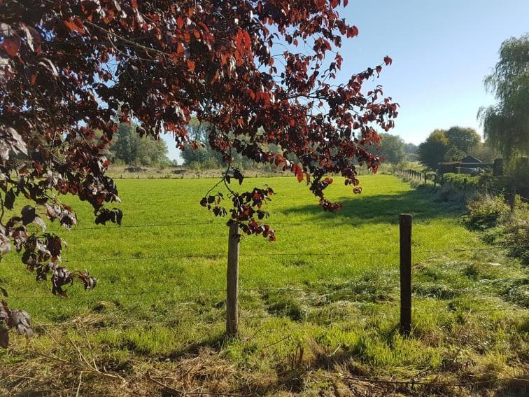 De Goeferdij Vakantiewoning Geraardsbergen Zewnętrze zdjęcie